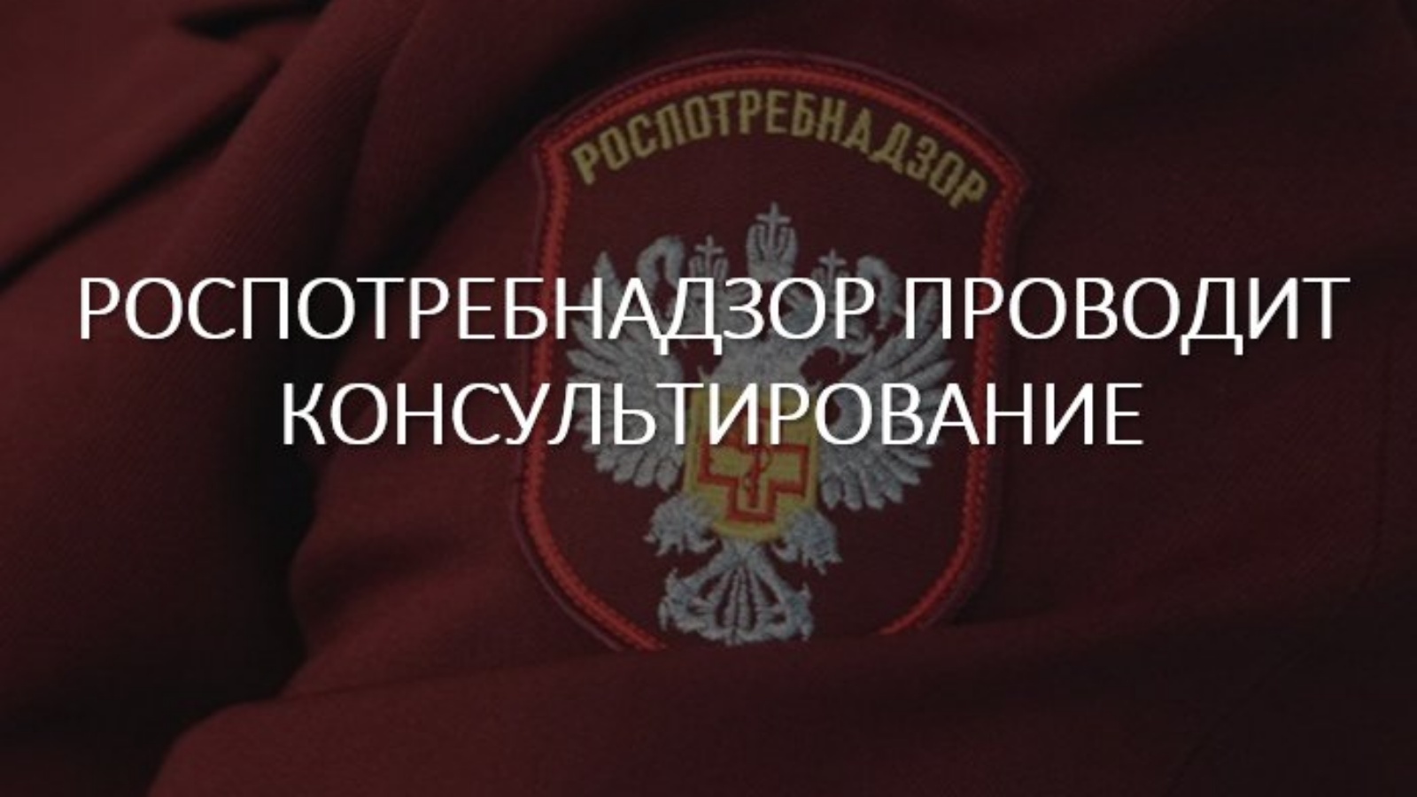 Тематическое консультирование по вопросам профилактики гриппа и ОРВИ.